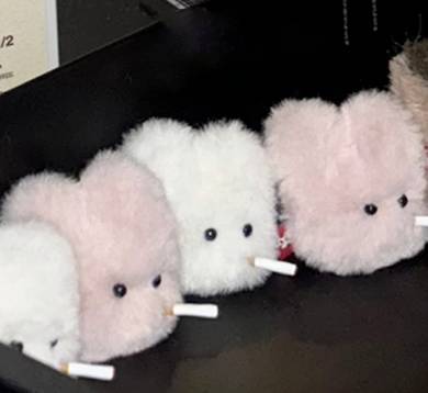 Cigar bunny (valentine) - Suri 수리 - CAVA LIFE