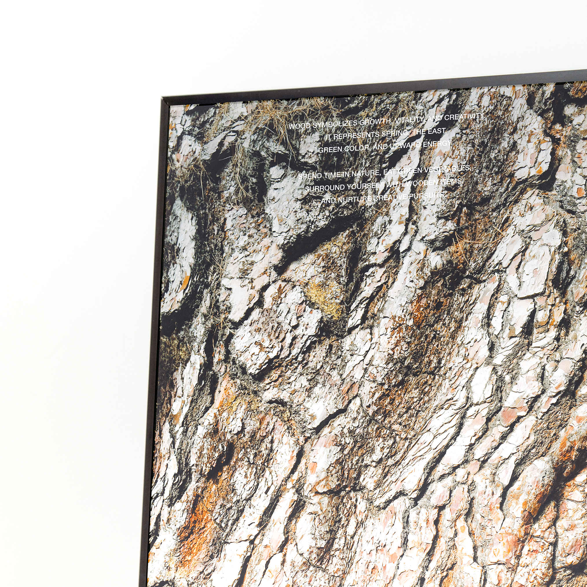 목 사주 질감 파노라마 개운 포스터 / Keep blomming