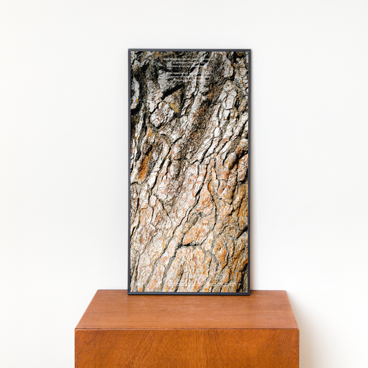 목 사주 질감 파노라마 개운 포스터 / Keep blomming