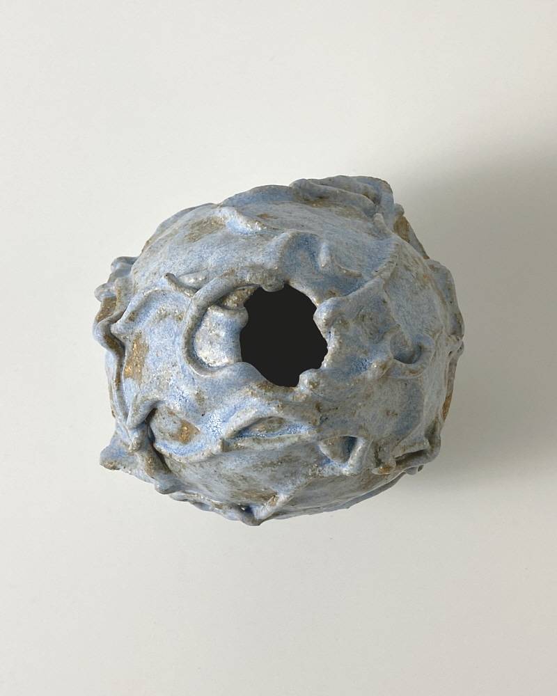 푸른 하르퓌아의 알껍질 - khoikos 코이코스 - CAVA LIFE