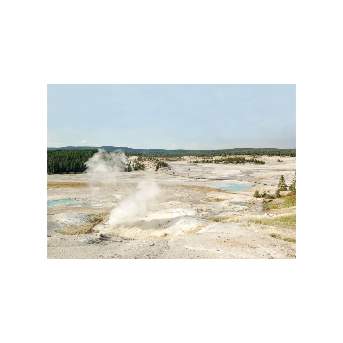 Yellowstone 포스터