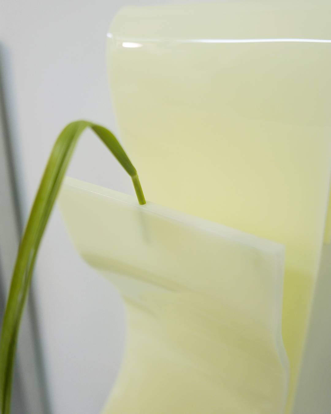 blankwind_EH02 - shallwedance 쉘위댄스 - CAVA LIFE