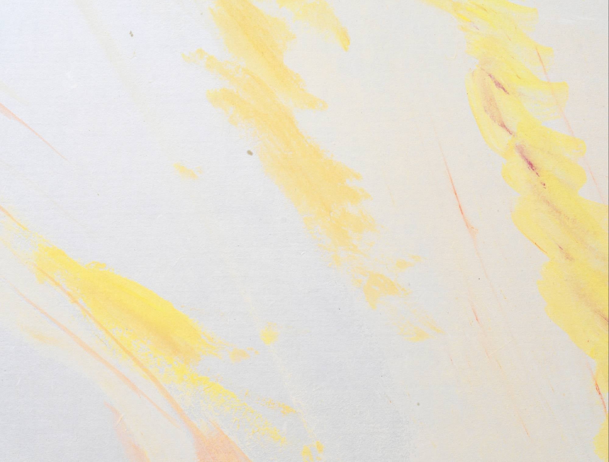 A Camper - Jiwon Choi 최지원 - CAVA LIFE