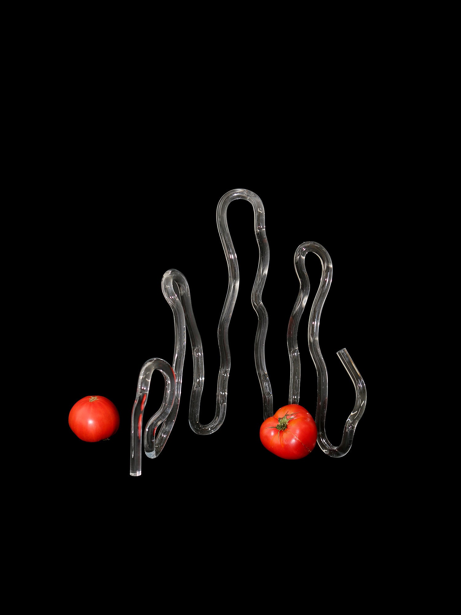 blankwind-bold line - shallwedance 쉘위댄스 - CAVA LIFE