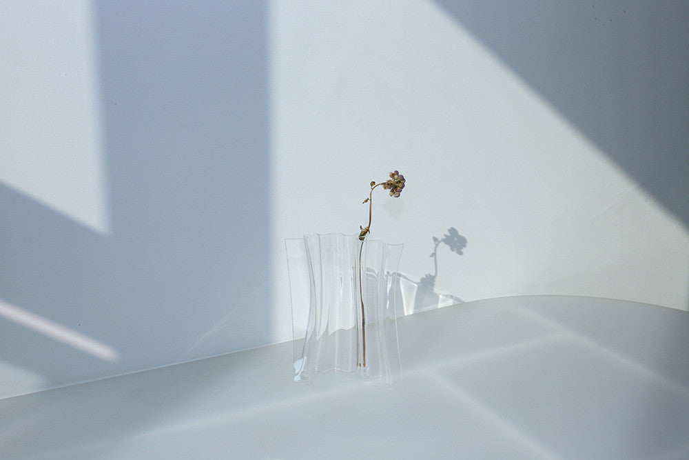 blank wind - clear / medium - shallwedance 쉘위댄스 - CAVA LIFE