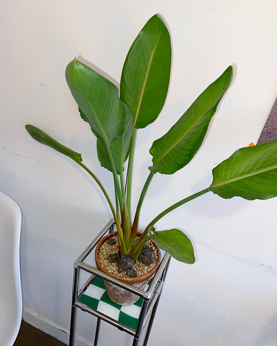 모듈 롱선반 (컬러 체커보드) - you like what 유라이크왓 - CAVA LIFE