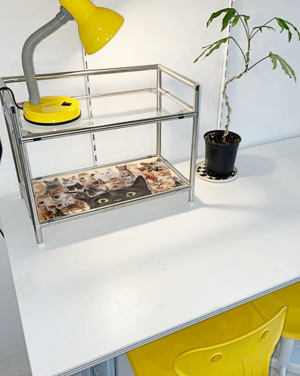 모듈 미니선반 (러브캣) - you like what 유라이크왓 - CAVA LIFE