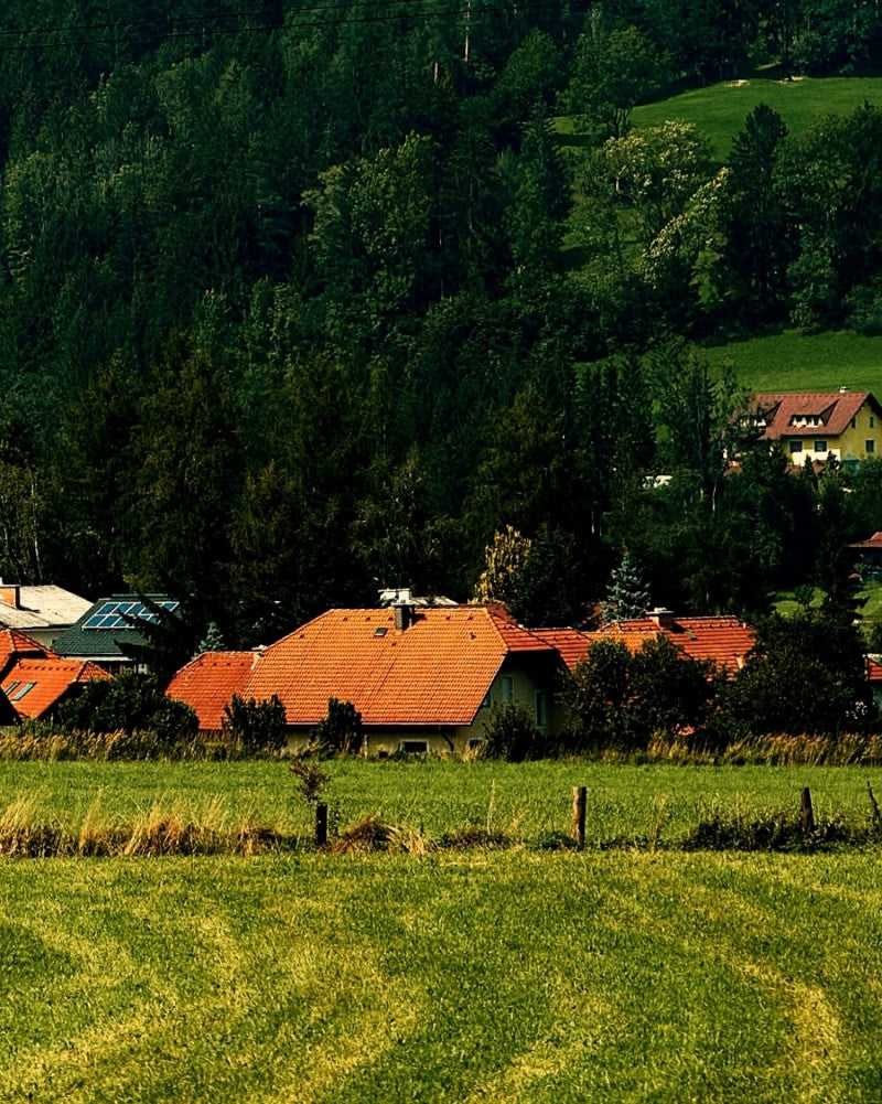 클라우드 미러 (숲) - you like what 유라이크왓 - CAVA LIFE