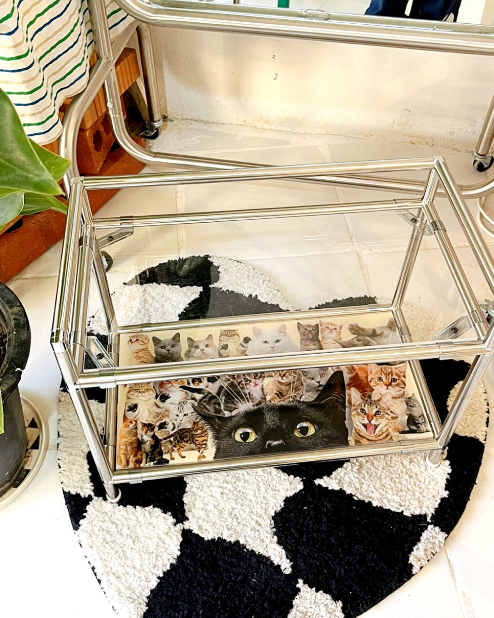 모듈 미니선반 (러브캣) - you like what 유라이크왓 - CAVA LIFE