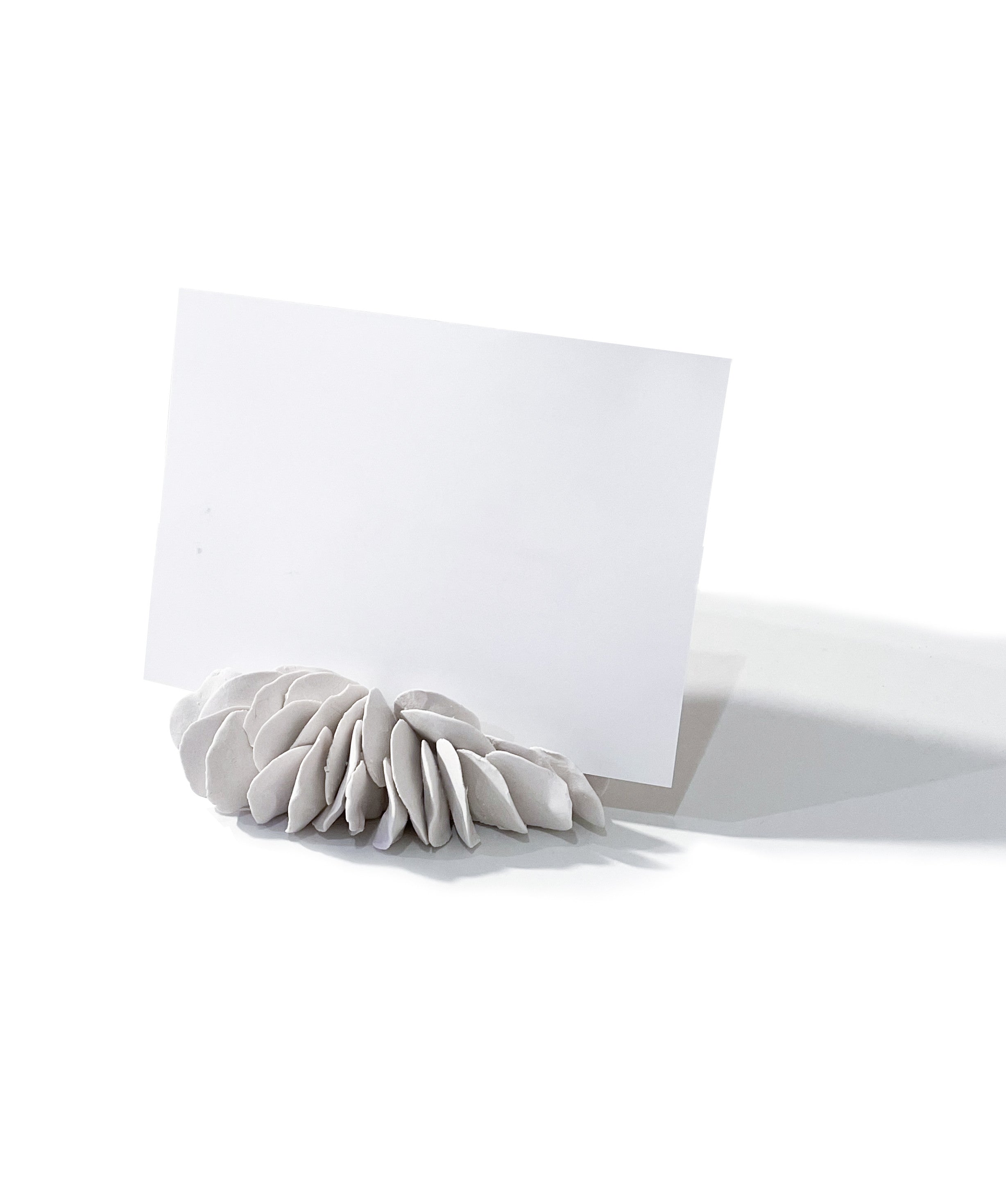 산호홀더 - light&stilllife 조민제/빛과정물 - CAVA LIFE