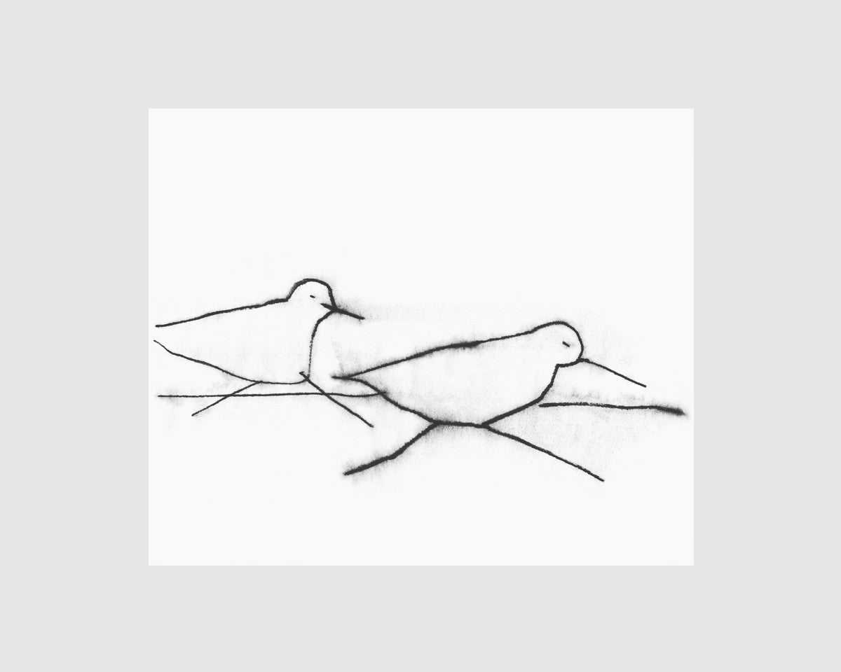 걷는 새 - Lee Jihoo / Drawinging 이지후 / 드로잉잉 - CAVA LIFE