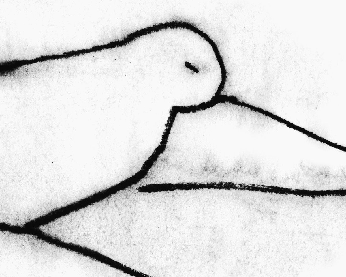 걷는 새 - Lee Jihoo / Drawinging 이지후 / 드로잉잉 - CAVA LIFE