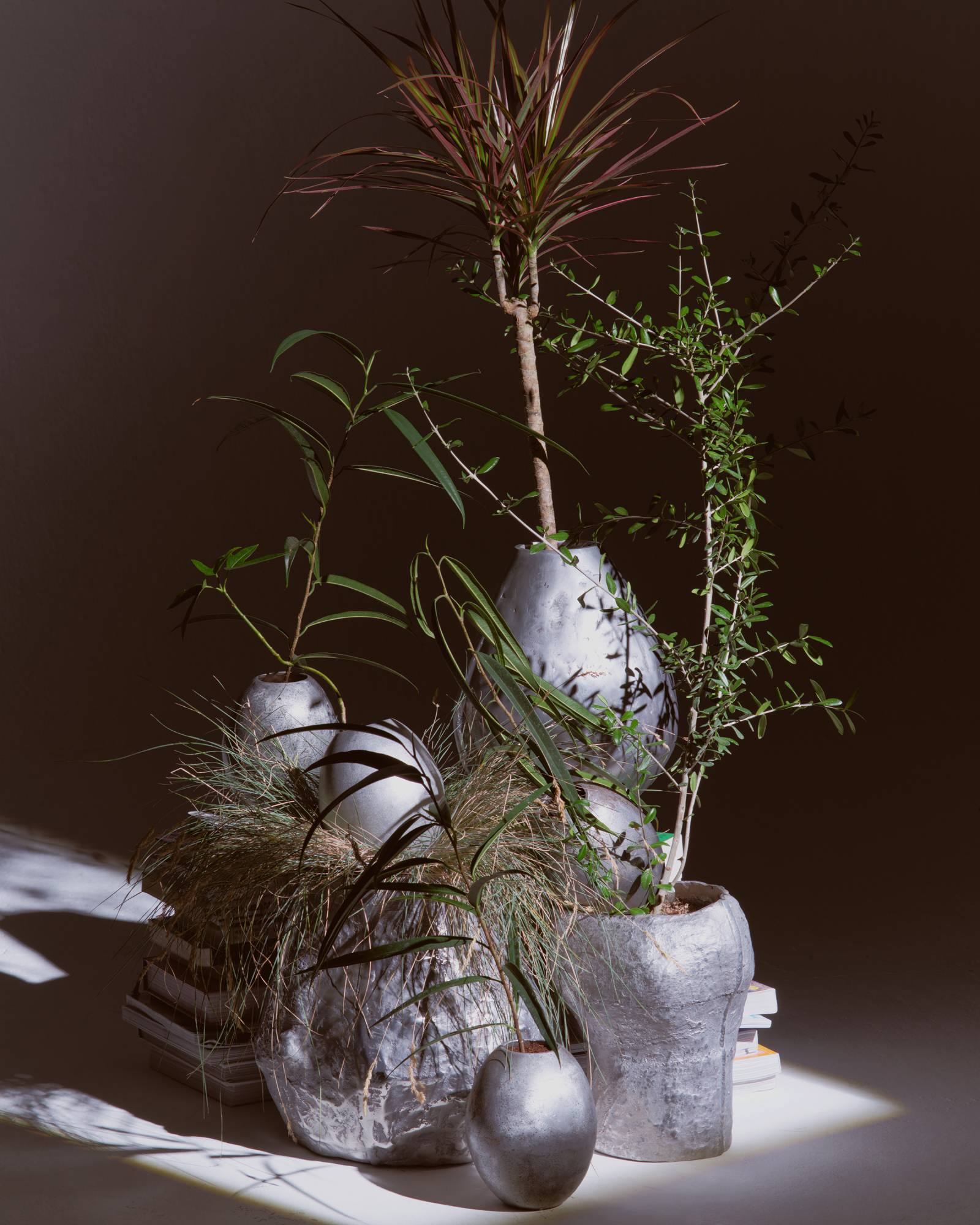 POT 1.4 - Park Soyee 박소의 - CAVA LIFE