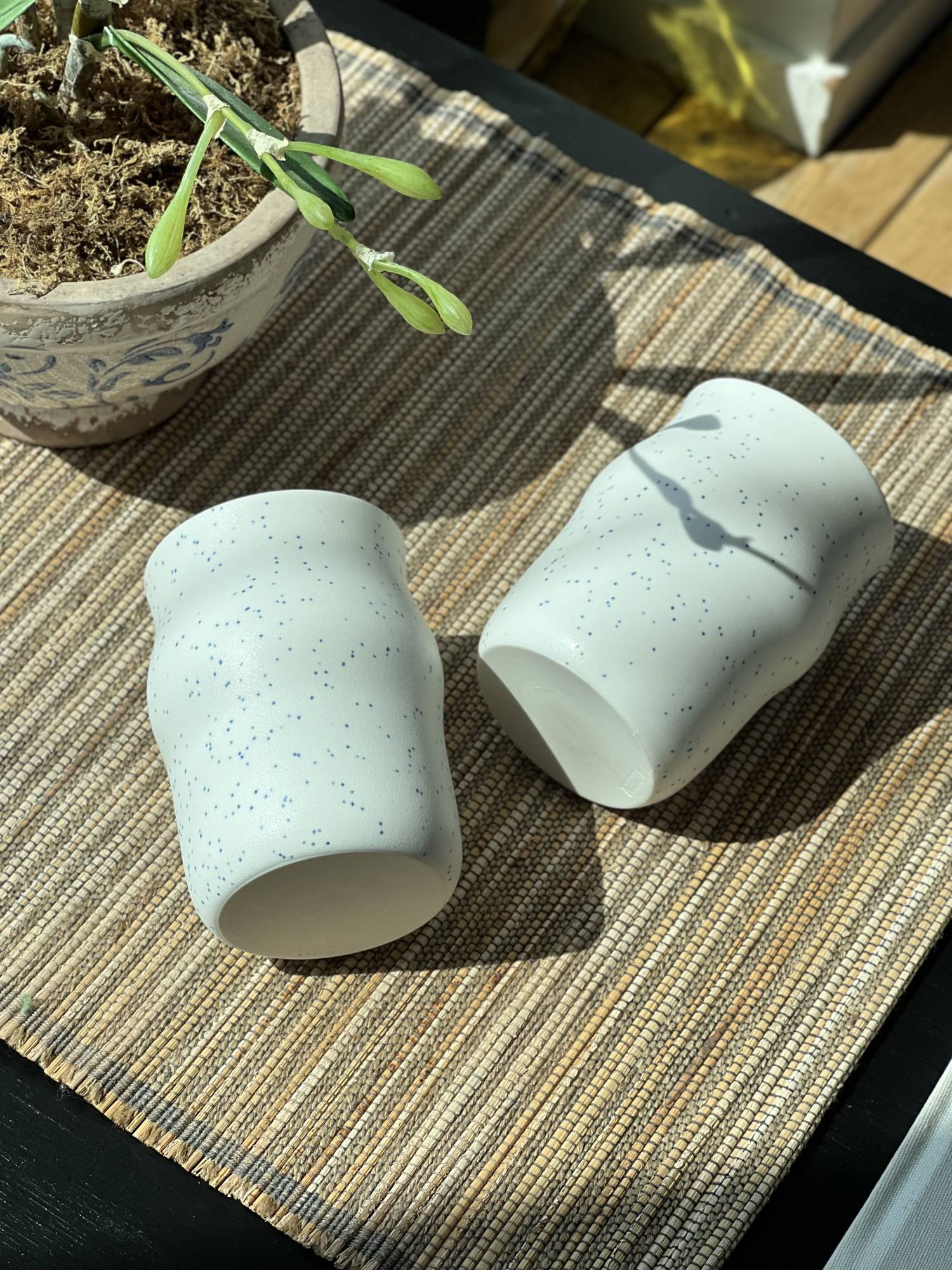 오비움 시그니처 컵 - OBIUM ceramic 오비움 세라믹 - CAVA LIFE