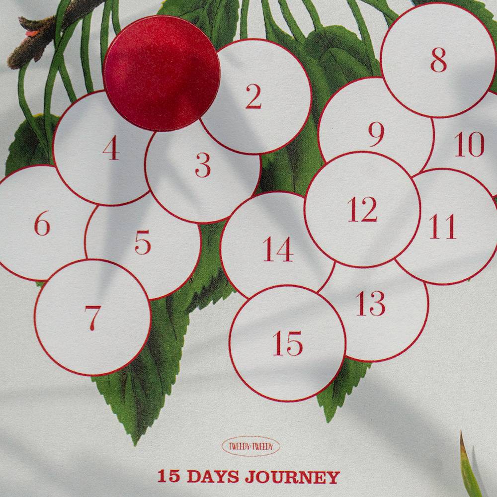 JUST A WISH - 15 DAYS (목표달력 스티커)