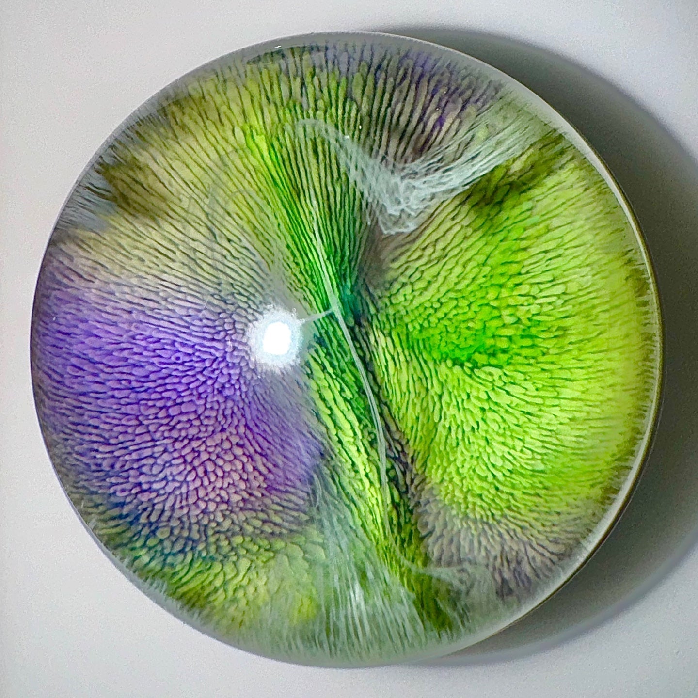 [선물옵션][Baaatok] Tropical Milkway_Purple&Green