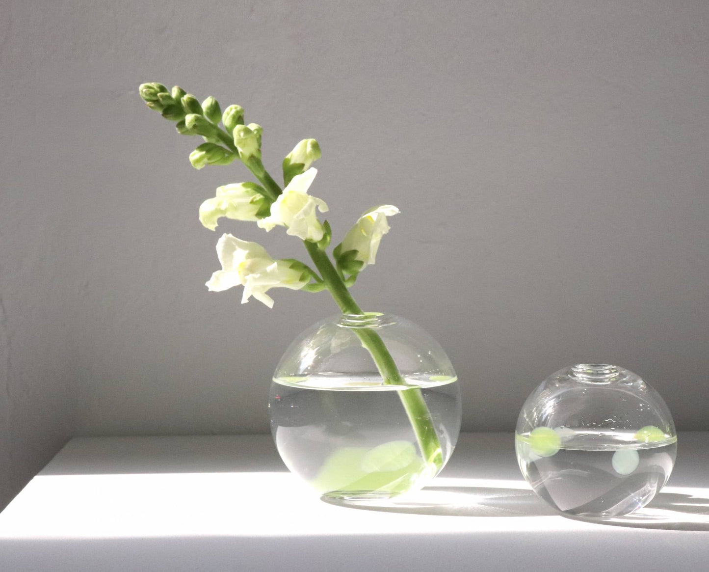 페어리 미니 홀더