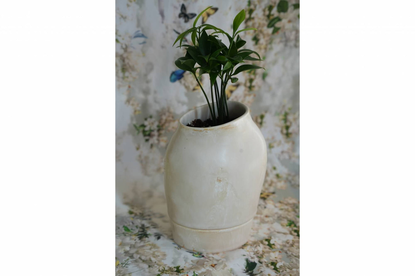 인미로 화분 GOYO