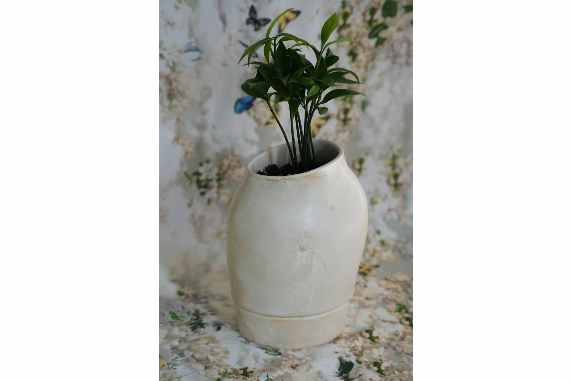 인미로 화분 GOYO