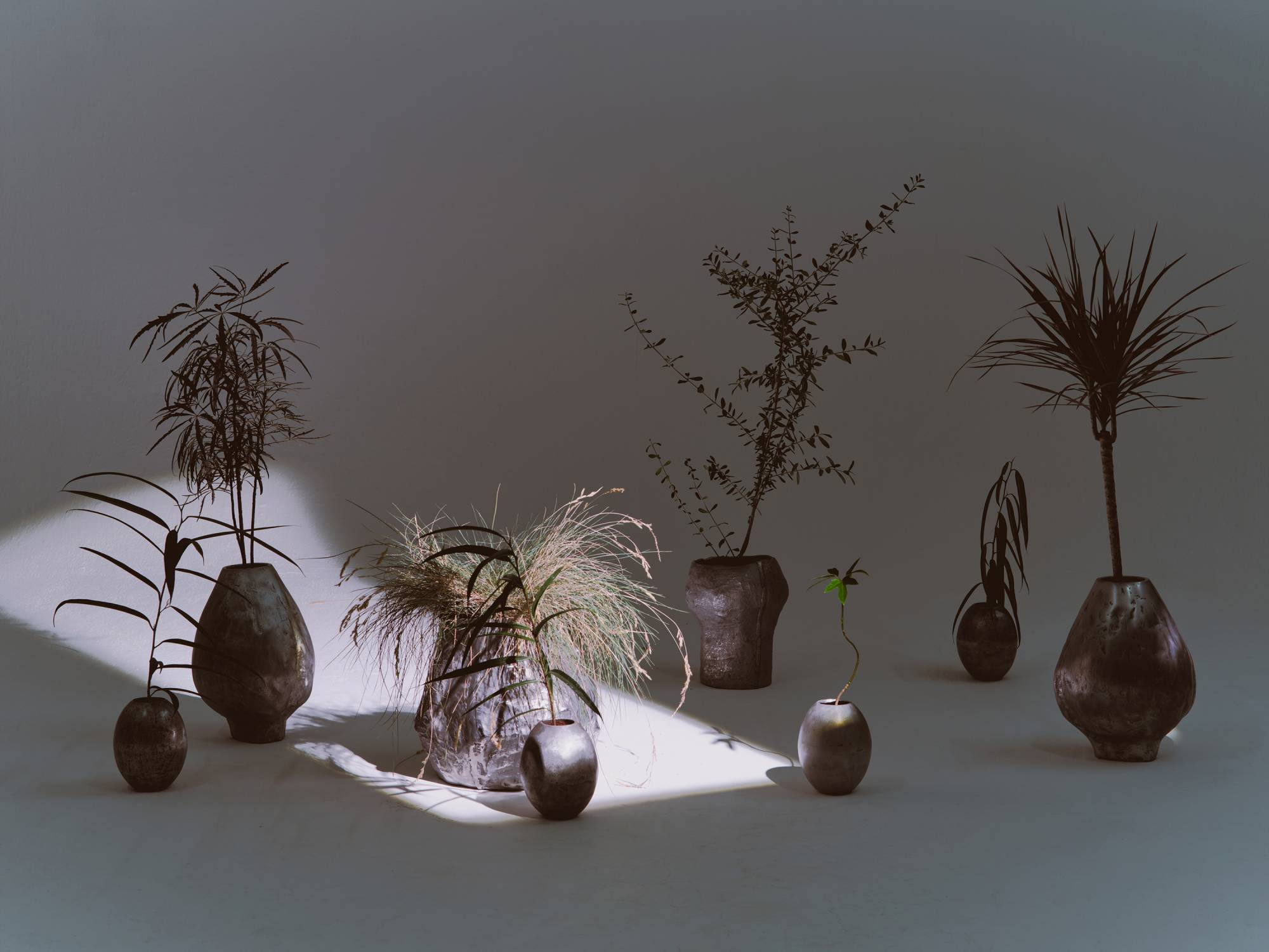 POT 1.4 - Park Soyee 박소의 - CAVA LIFE