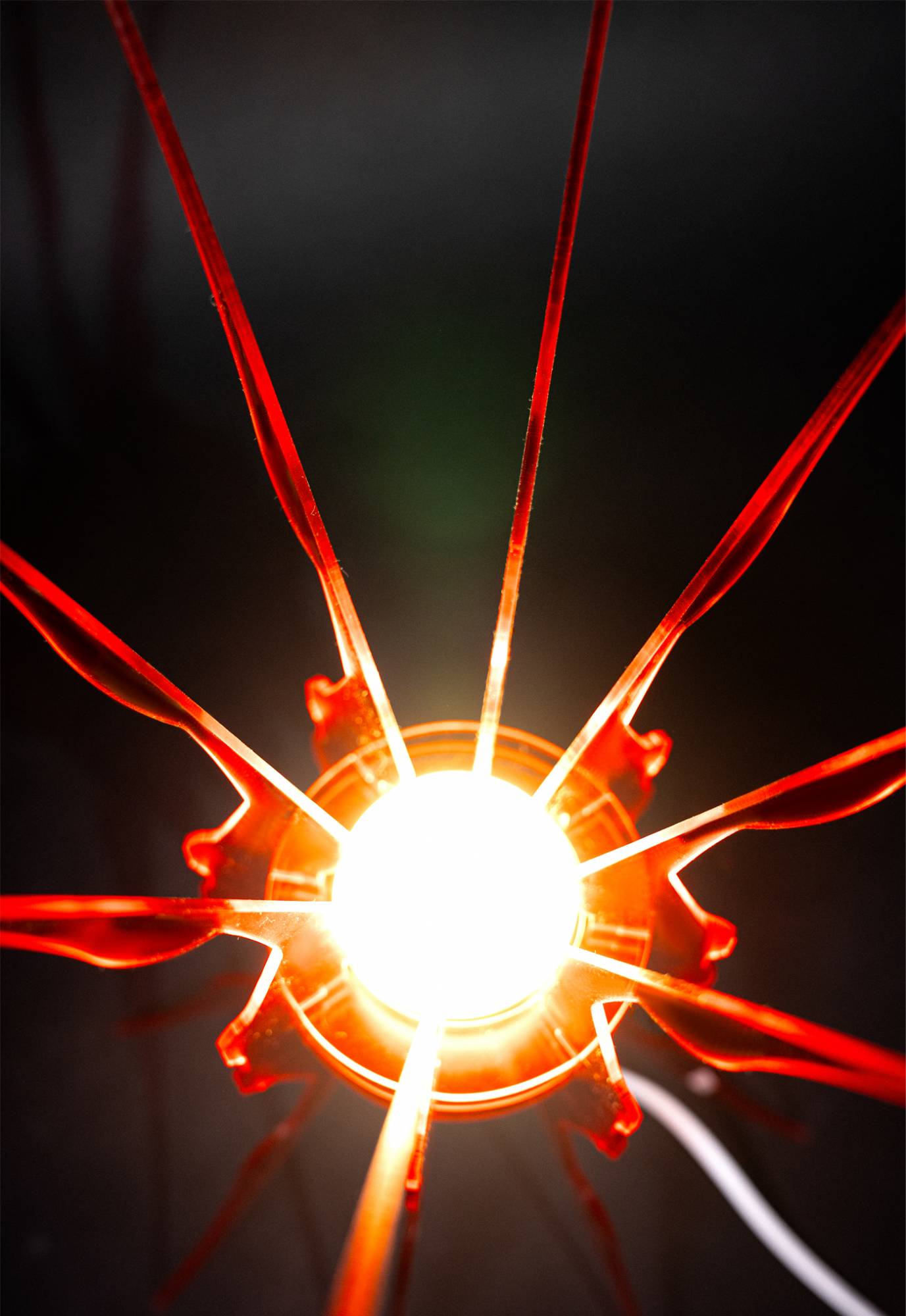 First Love - AqpA Studio - CAVA LIFE