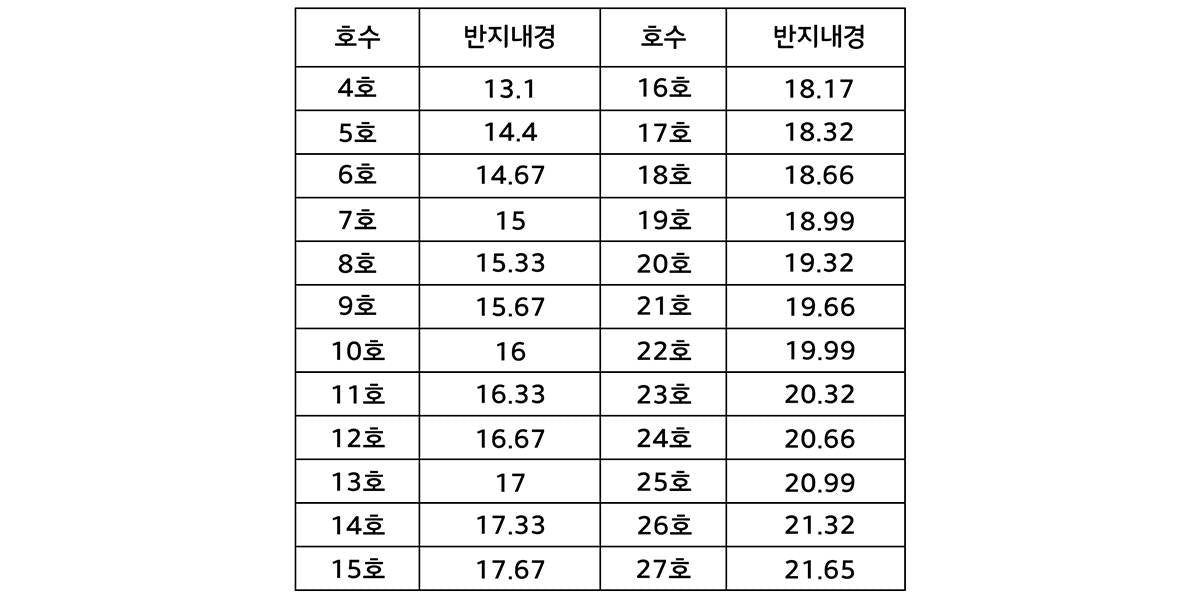 호루스 애끼 반지 - Sekhmet 세크메트 - CAVA LIFE