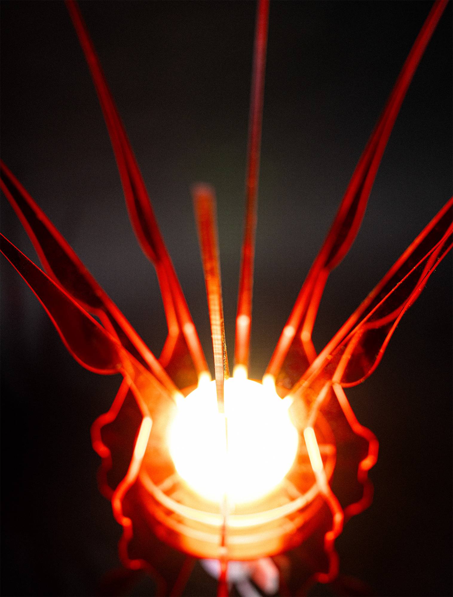 First Love - AqpA Studio - CAVA LIFE