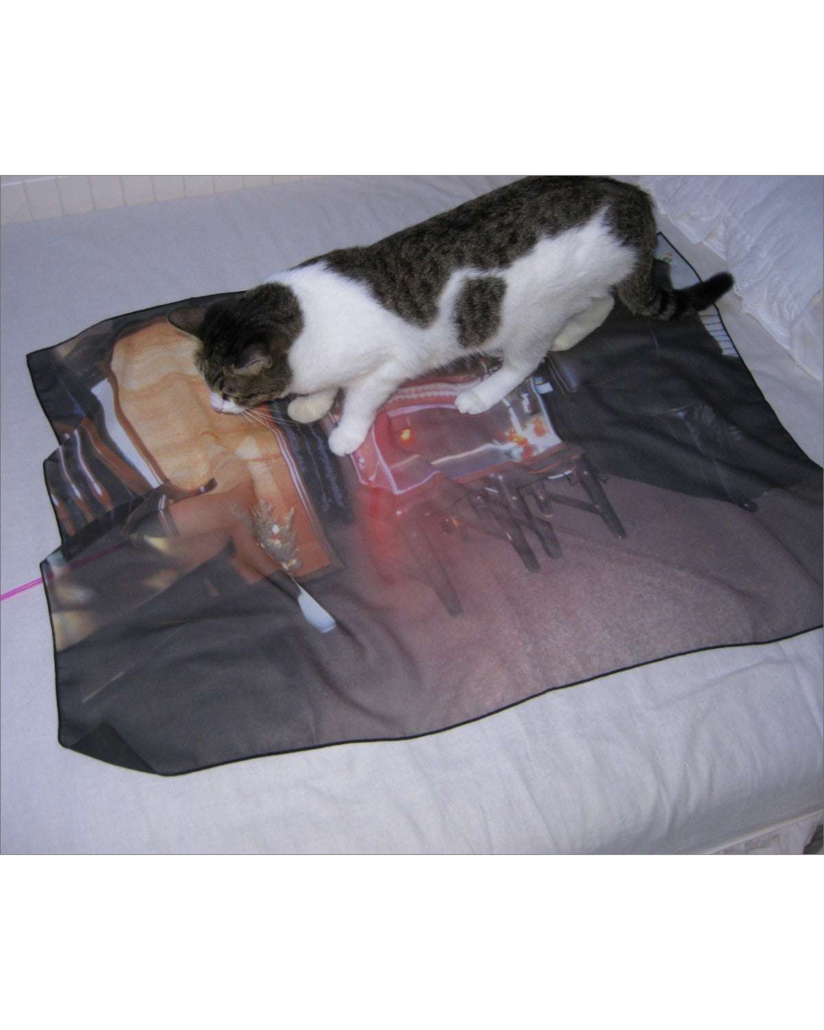 강하게 빛나는 - Gongjoongdosie 공중도시 - CAVA LIFE