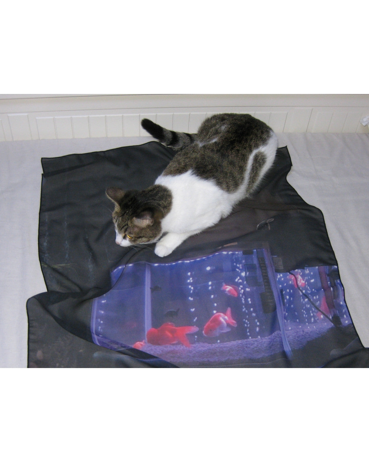 퍼플 아쿠아 - Gongjoongdosie 공중도시 - CAVA LIFE