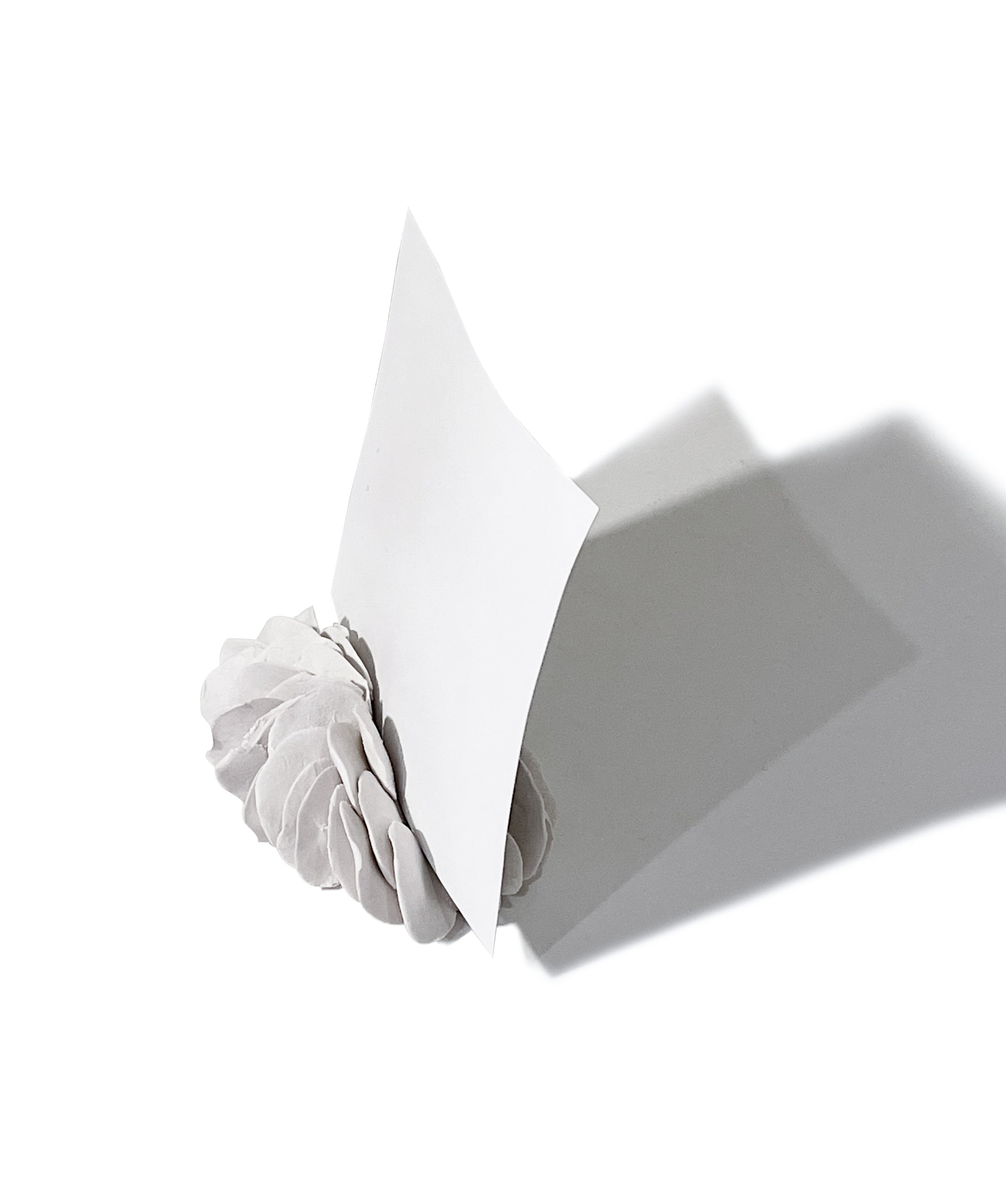 산호홀더 - light&stilllife 조민제/빛과정물 - CAVA LIFE