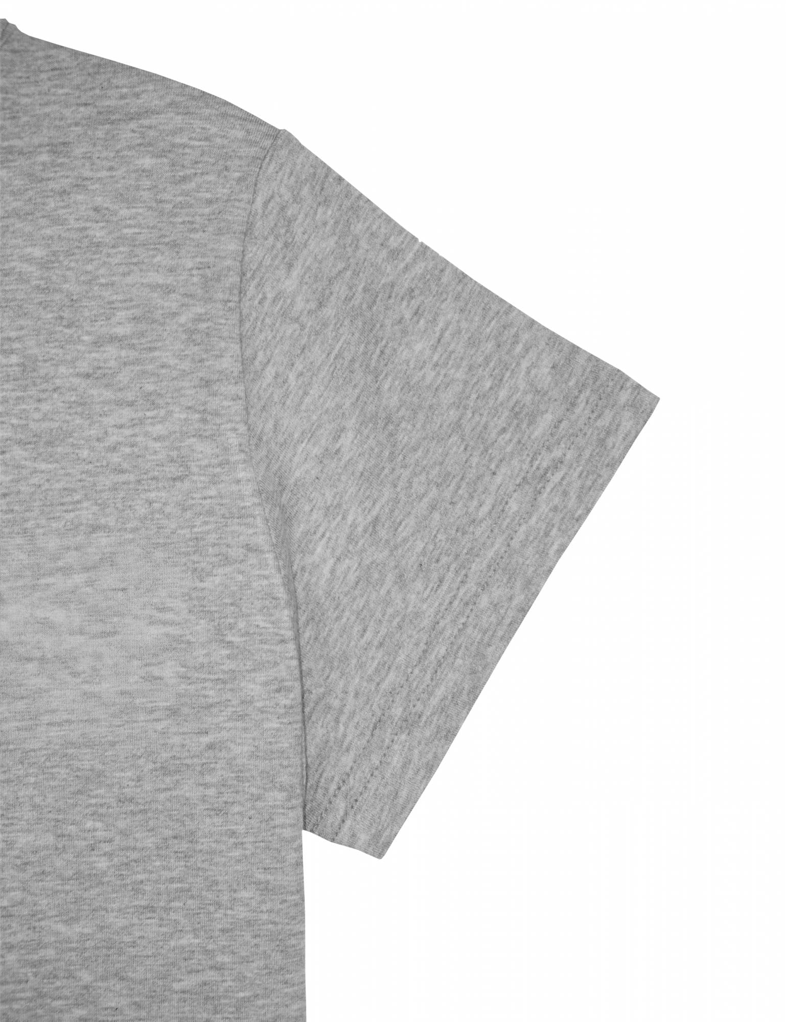 TT LOGO CROP T-SHIRTS [GREY]