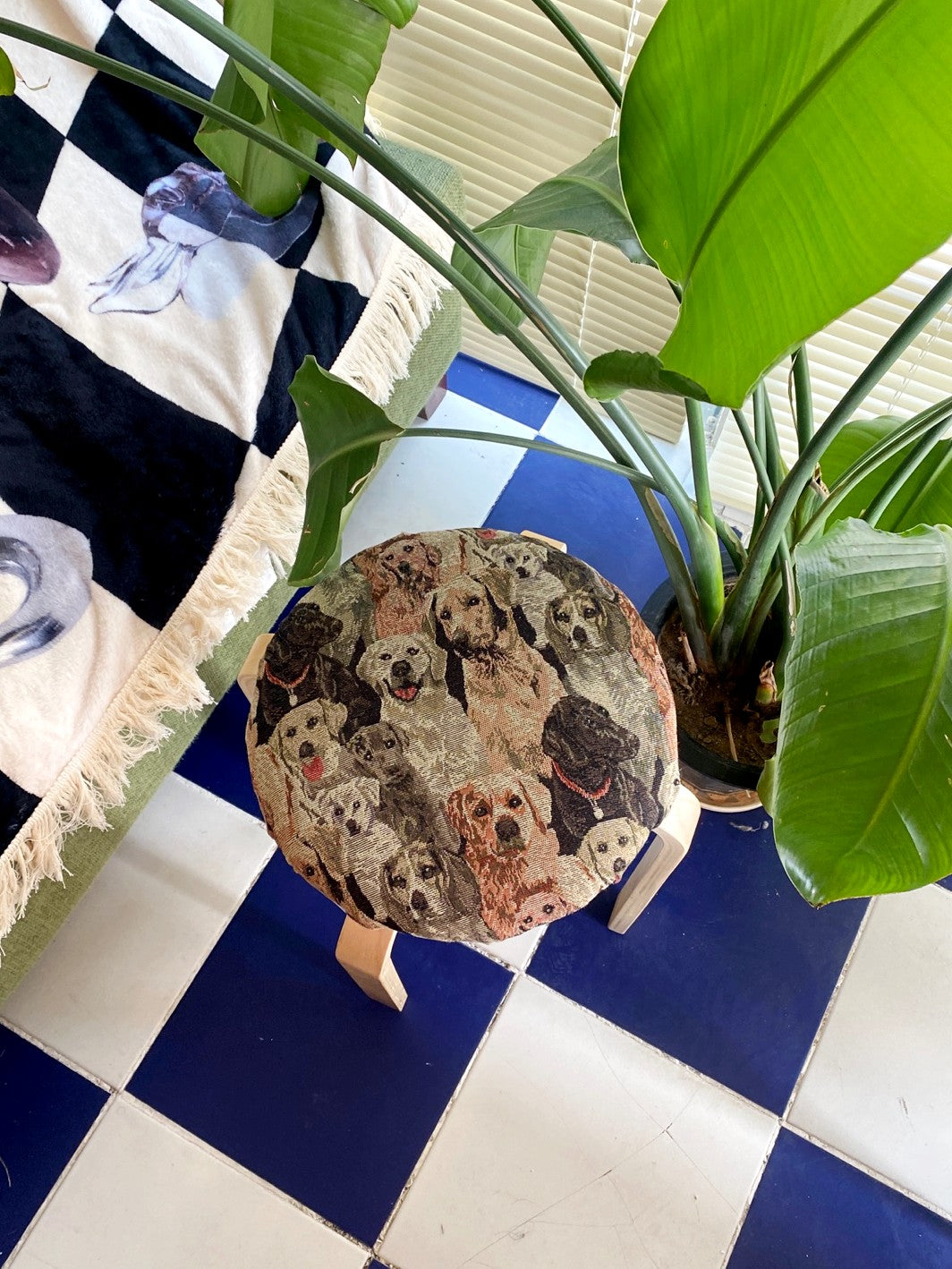 Love puppy stool - you like what 유라이크왓 - CAVA LIFE