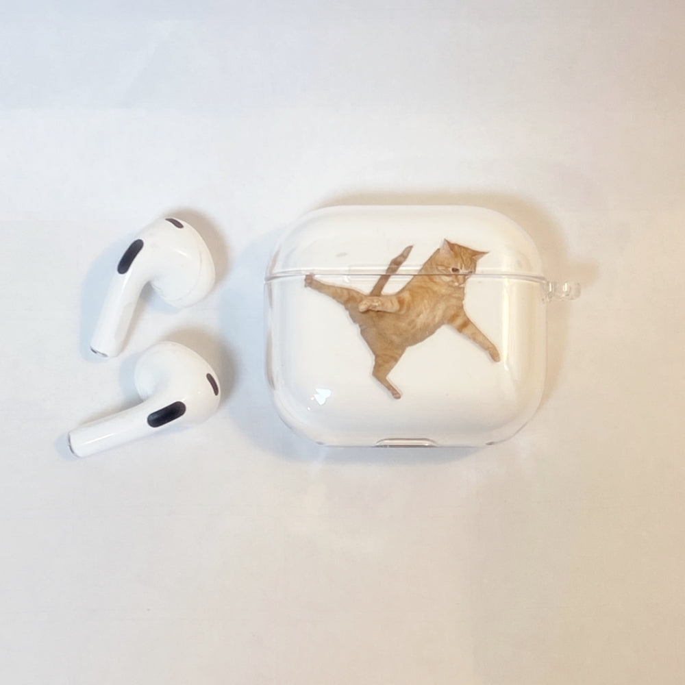 Dancing Cat airpods case