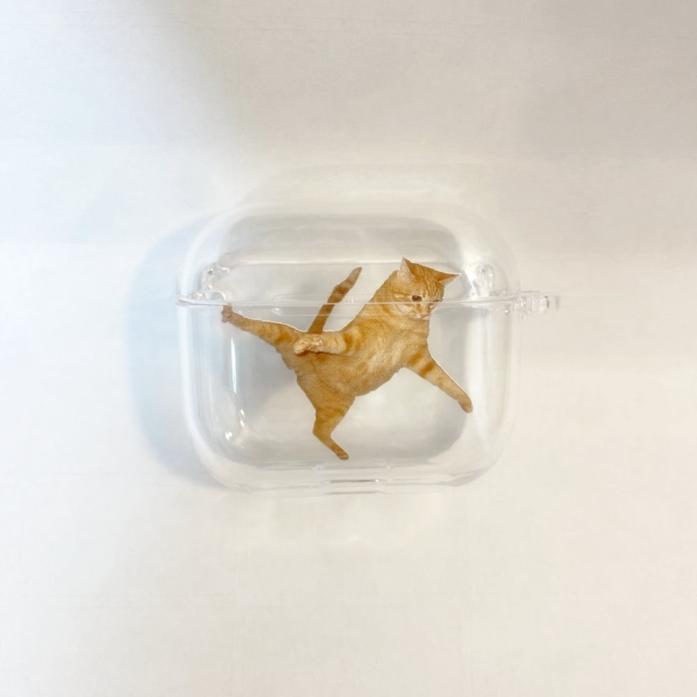 Dancing Cat airpods case