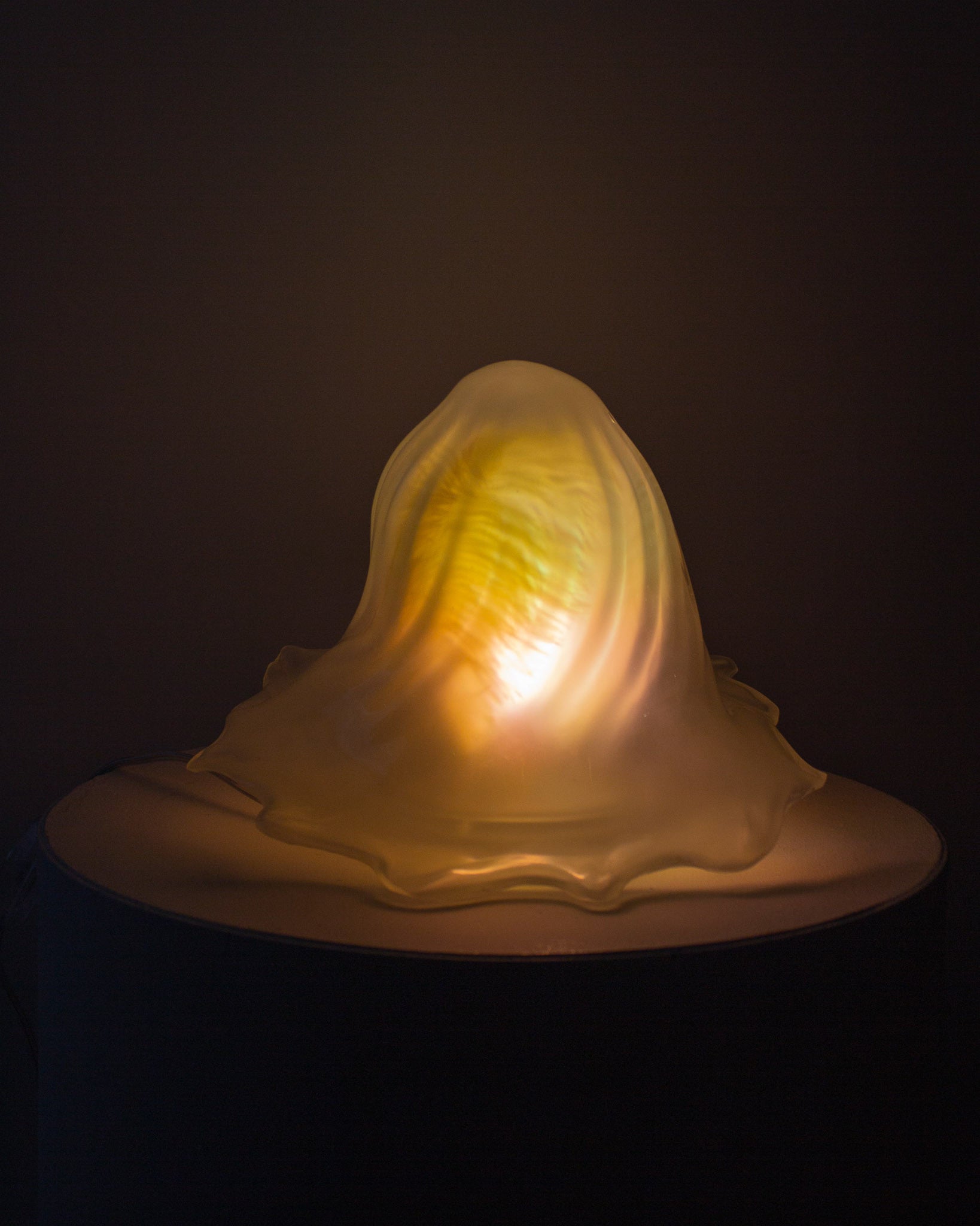 고스트 젤리피쉬 램프 - Gloryhole Light Sales 글로리홀 - CAVA LIFE