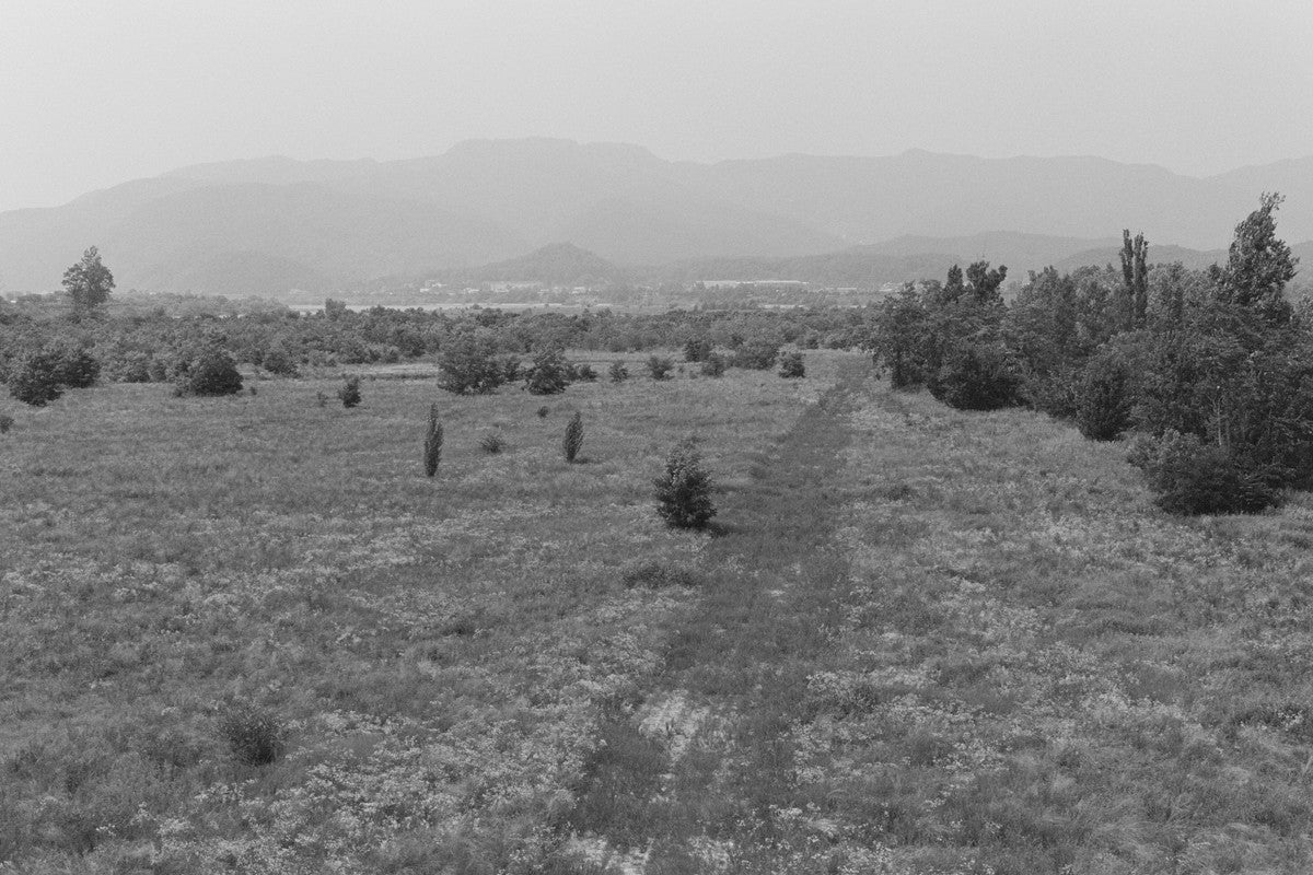 Landscape of a riverbank - Jeon Seeyoung 전시영 - CAVA LIFE