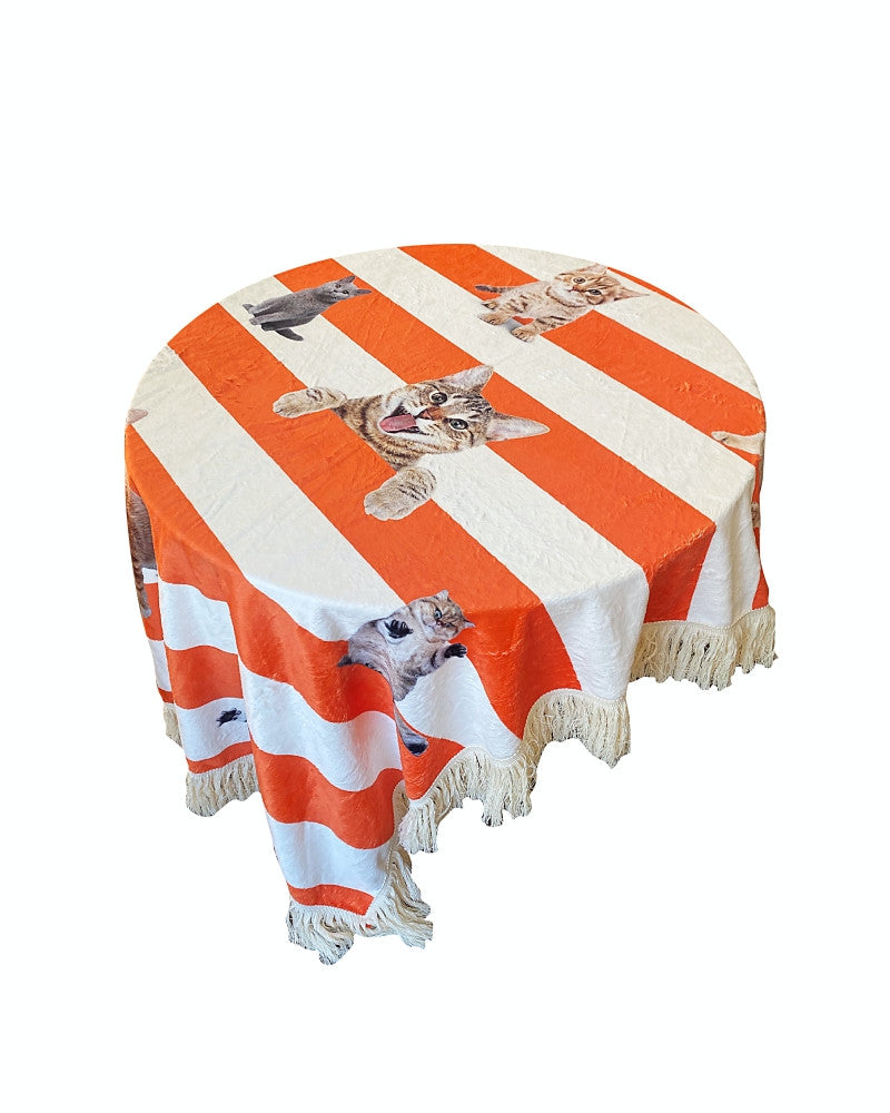 러브캣 스트라이프 블랭킷 - you like what 유라이크왓 - CAVA LIFE