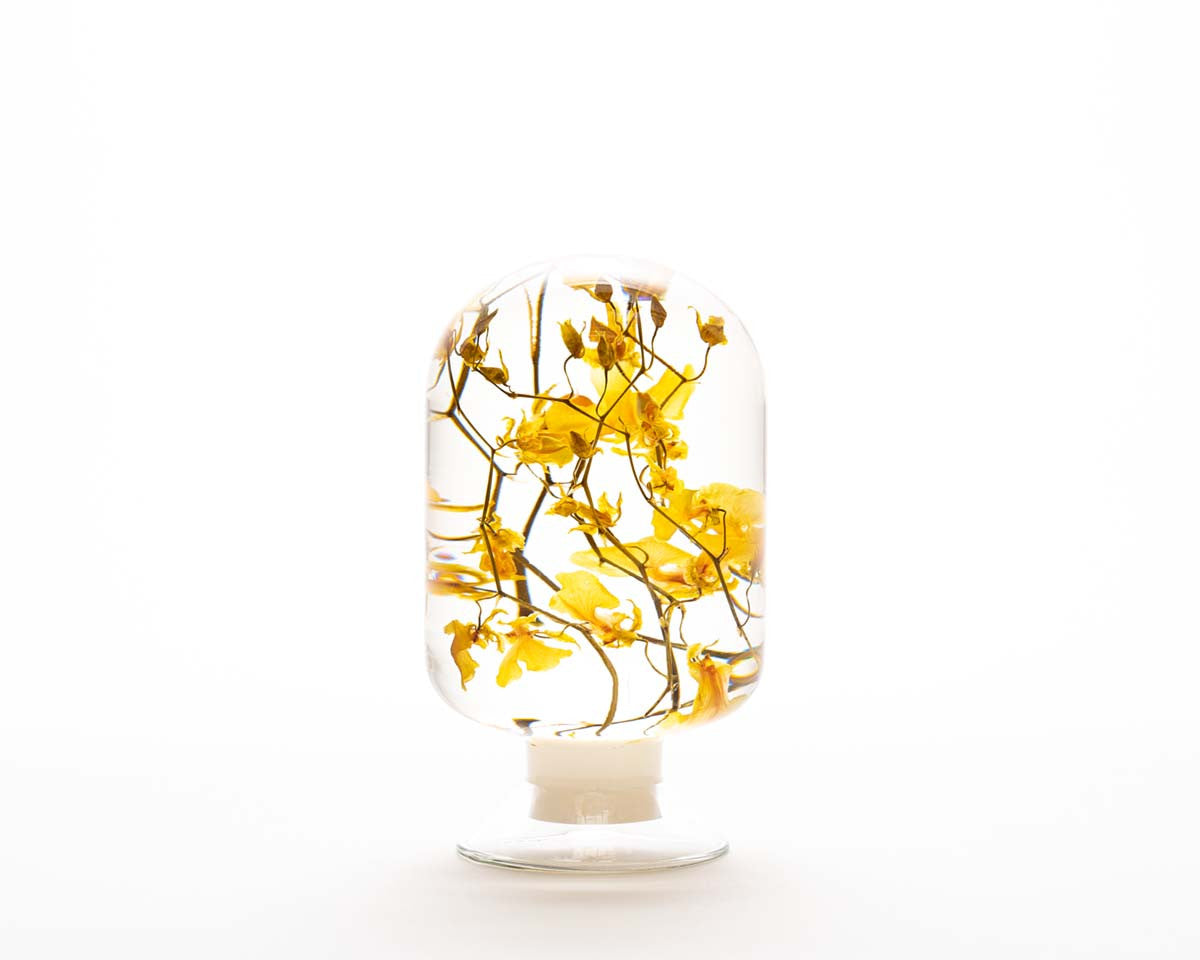 피스오브타임 - 온시디움 - Style Jieum 스타일지음 - CAVA LIFE