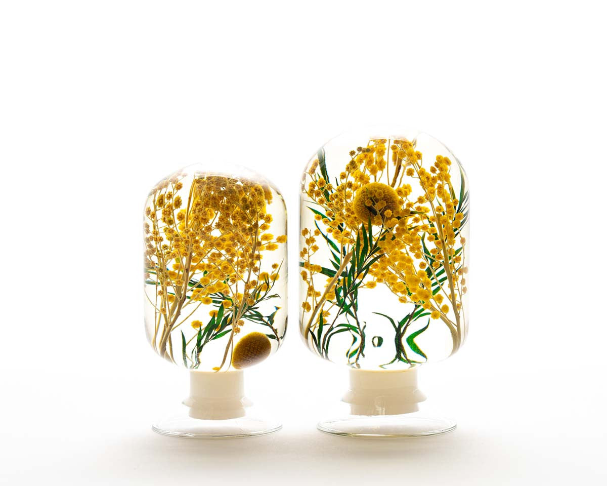 피스오브타임 - 미모사 - Style Jieum 스타일지음 - CAVA LIFE