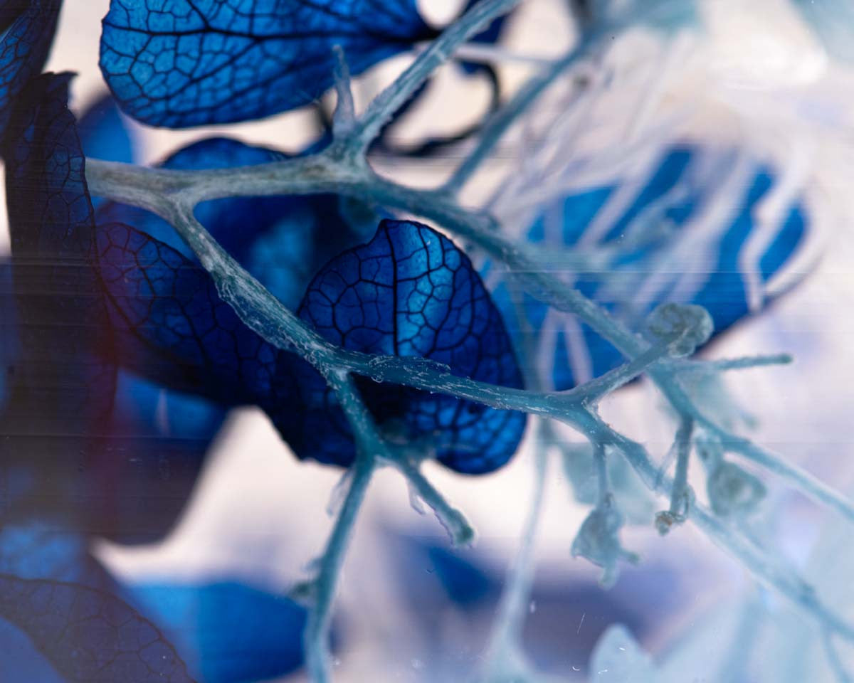 피스오브타임 - 블루웨이브 - Style Jieum 스타일지음 - CAVA LIFE