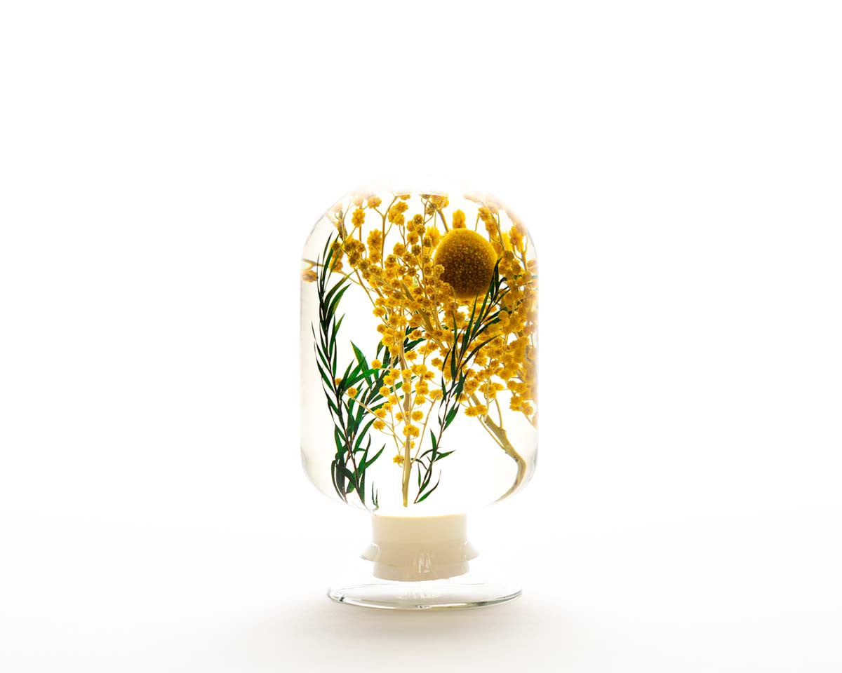 피스오브타임 - 미모사 - Style Jieum 스타일지음 - CAVA LIFE