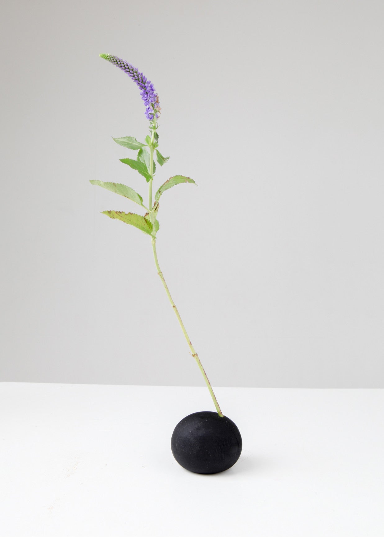 018 series -7 - Chaeyoung Lee 이채영 - CAVA LIFE