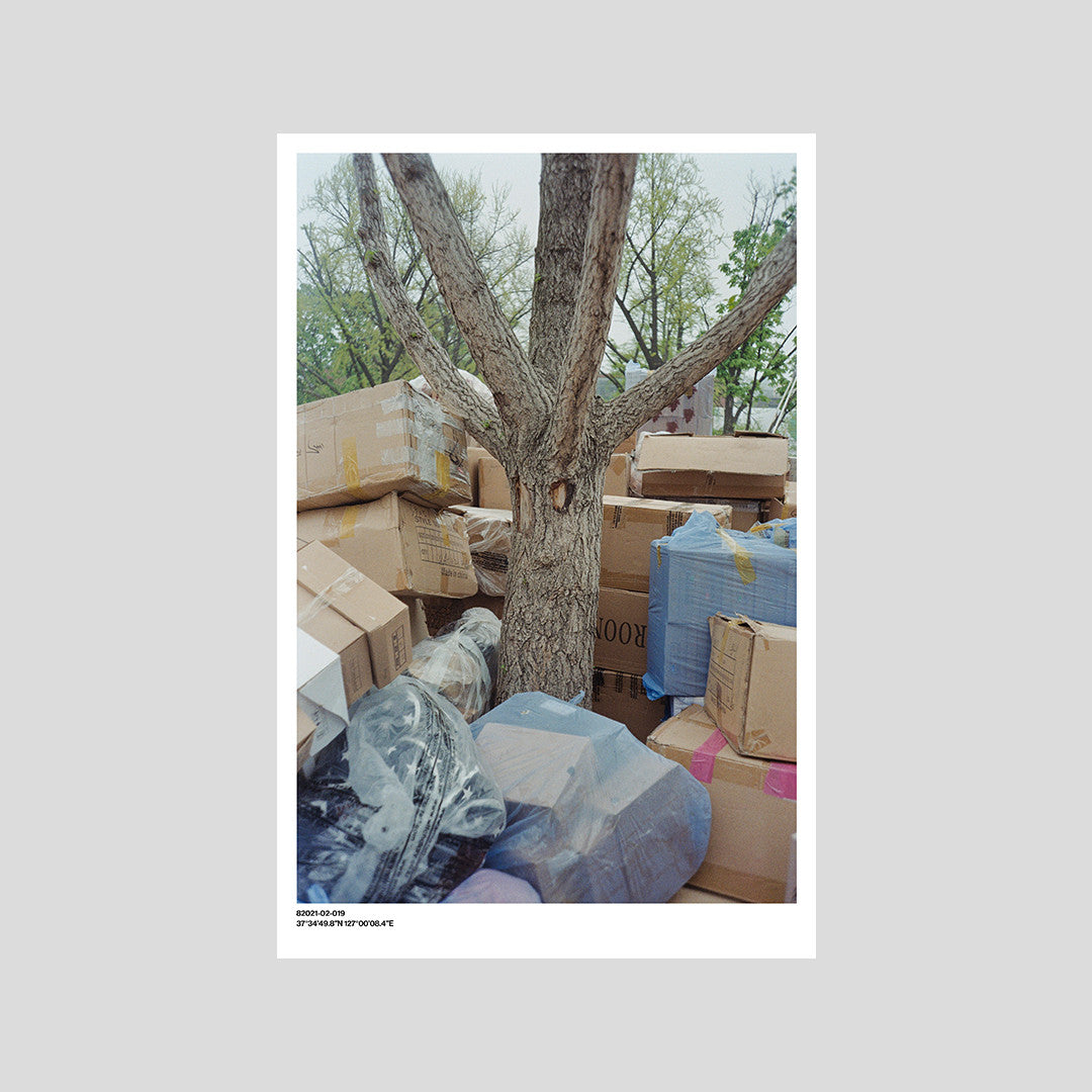 서울 나무 프린트: 82021–02–019 - Jeon Seeyoung 전시영 - CAVA LIFE