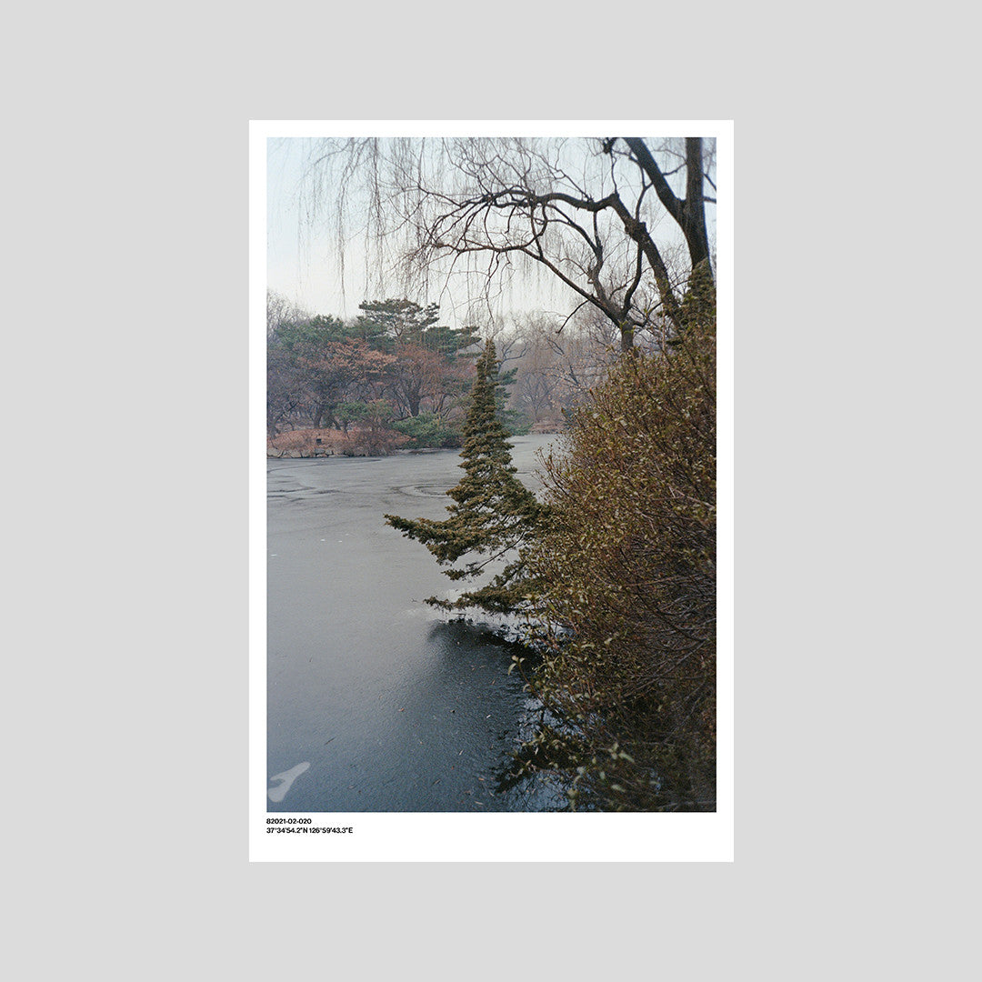 서울 나무 프린트: 82021–02–020 - Jeon Seeyoung 전시영 - CAVA LIFE