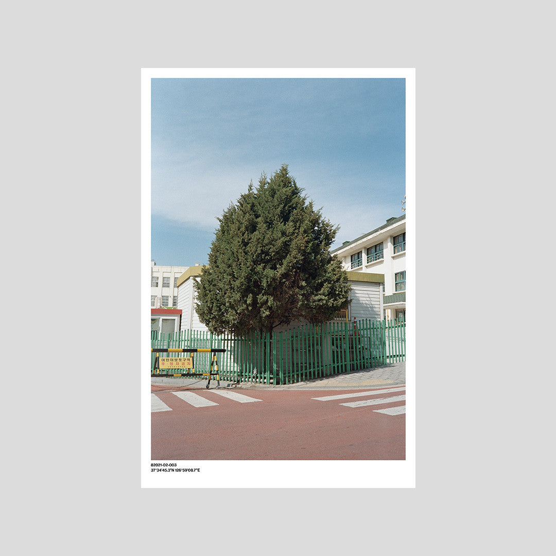 서울 나무 프린트: 82021–02–003 - Jeon Seeyoung 전시영 - CAVA LIFE