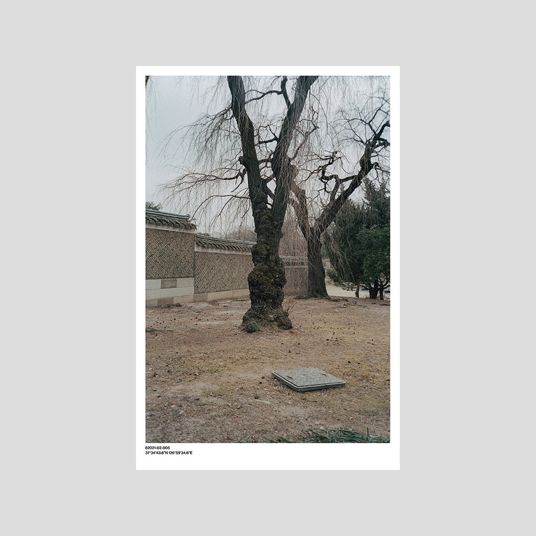 서울 나무 프린트: 82021–02–005 - Jeon Seeyoung 전시영 - CAVA LIFE