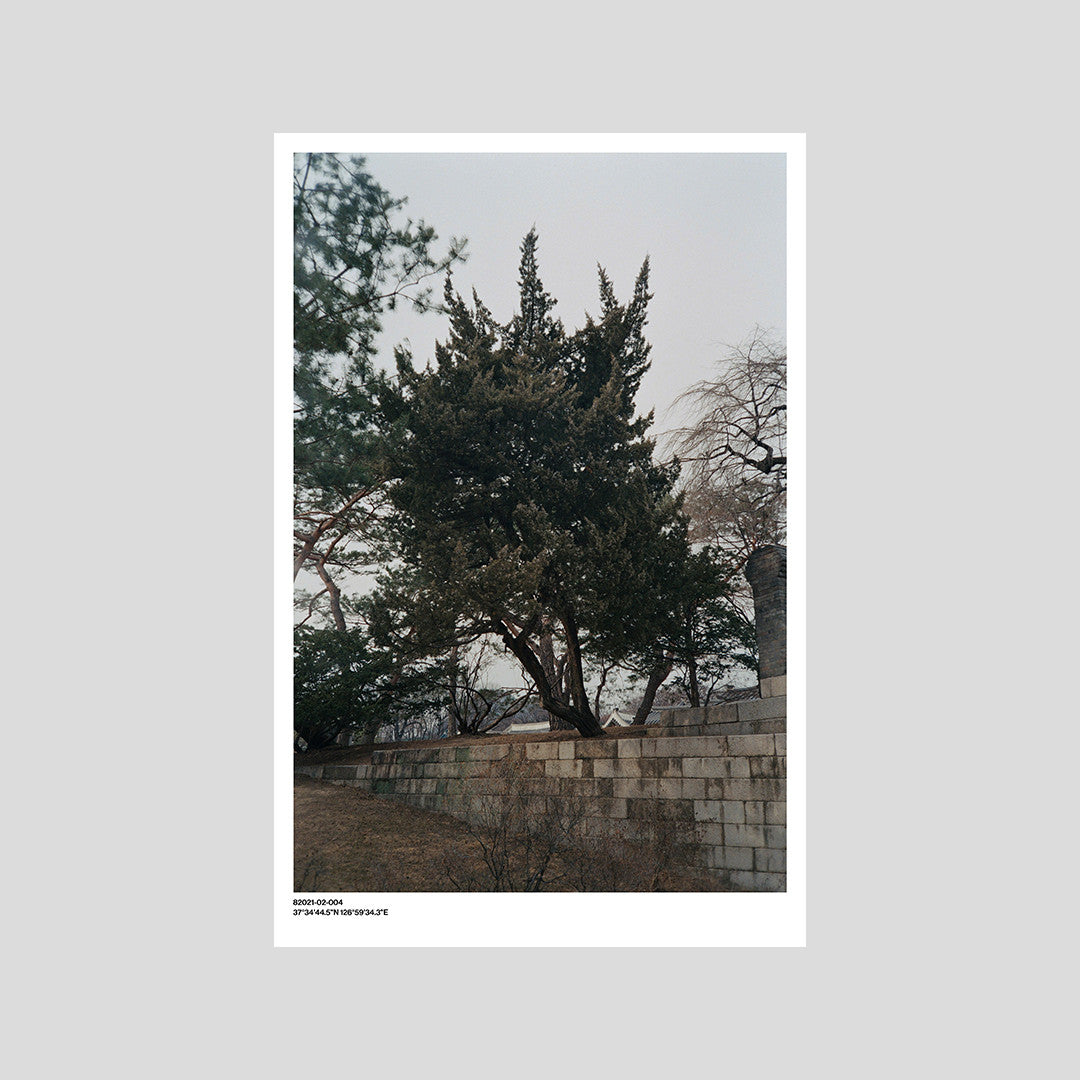 서울 나무 프린트: 82021–02–004 - Jeon Seeyoung 전시영 - CAVA LIFE