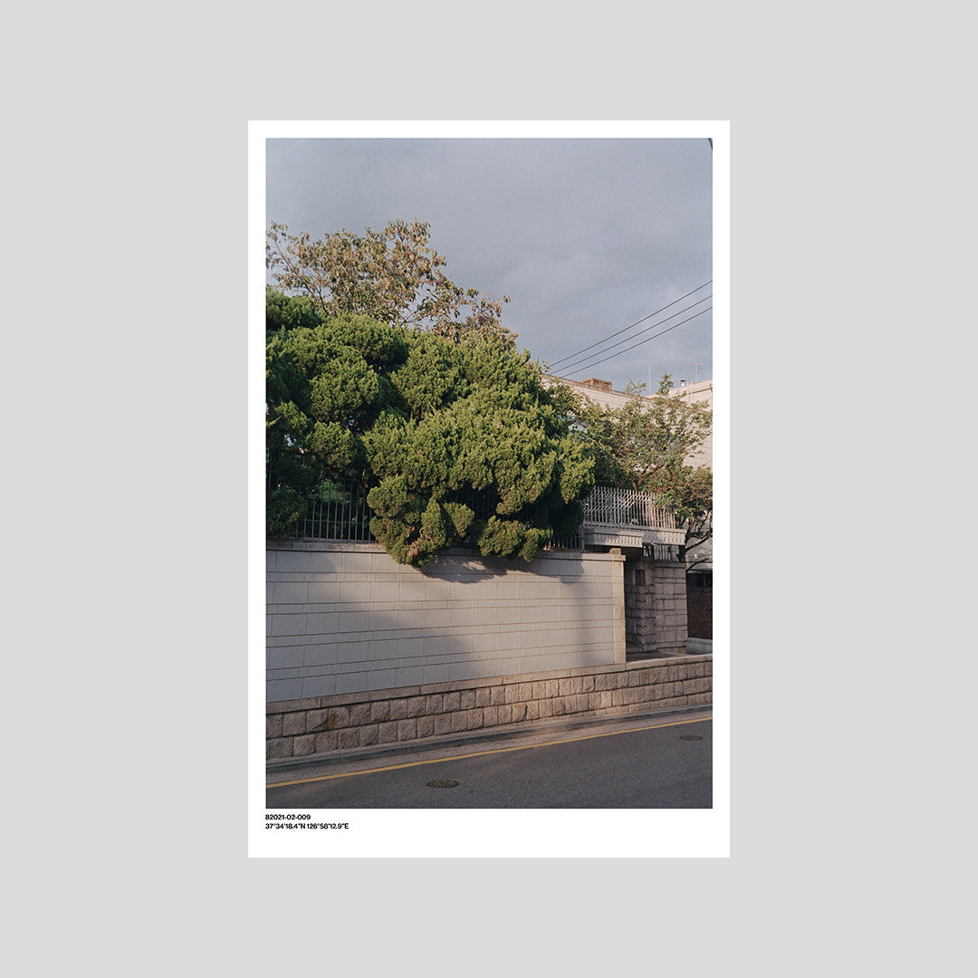 서울 나무 프린트: 82021–02–009 - Jeon Seeyoung 전시영 - CAVA LIFE