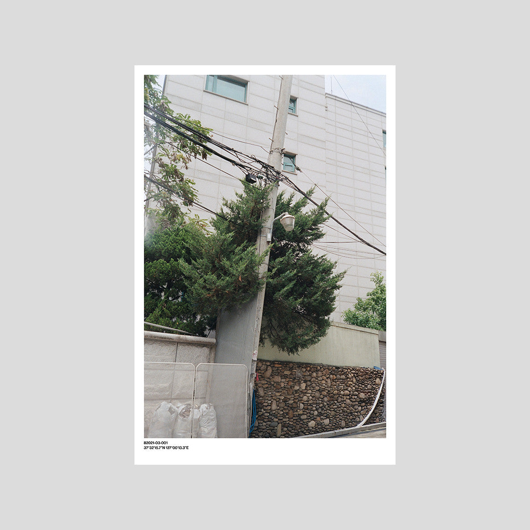 서울 나무 프린트: 82021–03–001 - Jeon Seeyoung 전시영 - CAVA LIFE