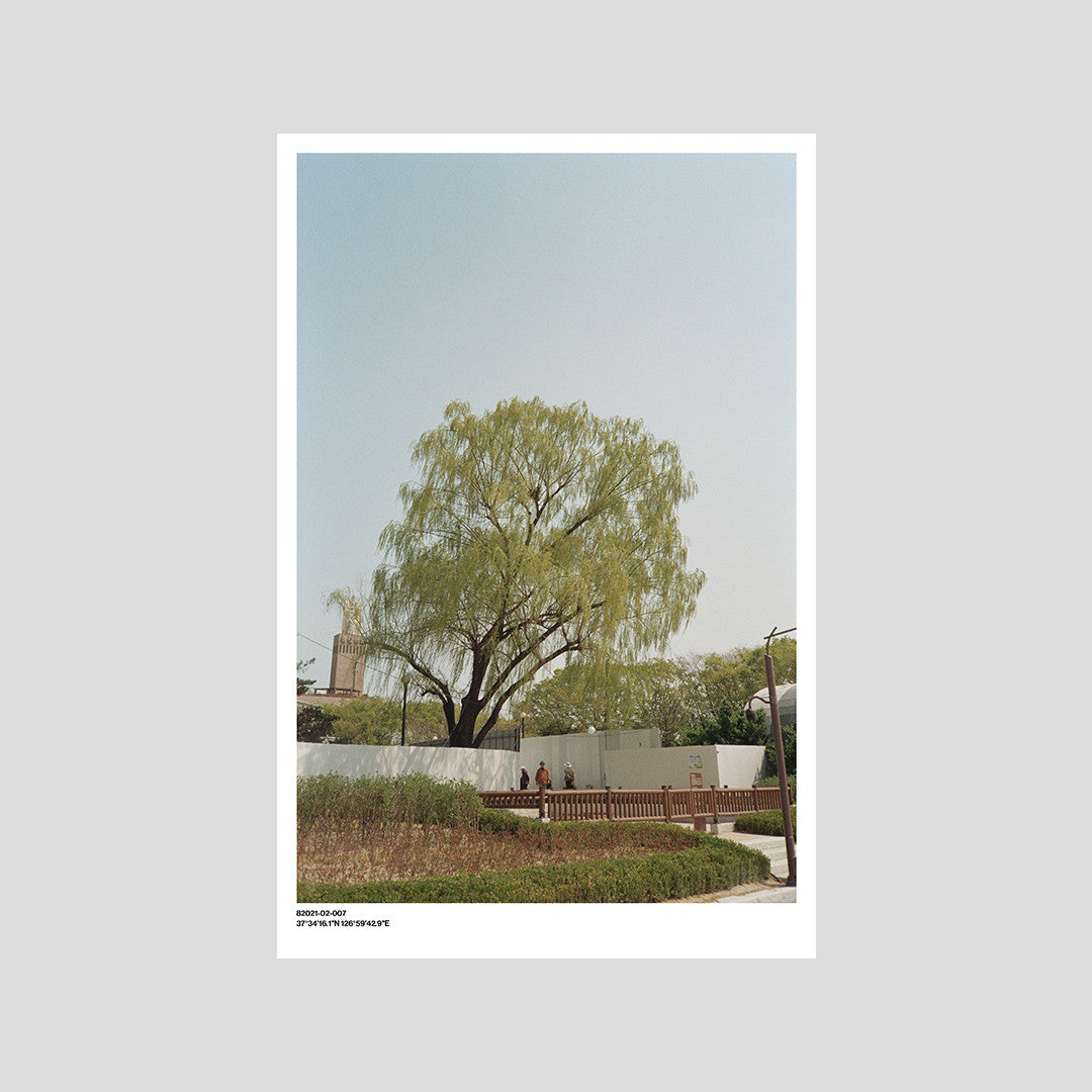 서울 나무 프린트: 82021–02–007 - Jeon Seeyoung 전시영 - CAVA LIFE